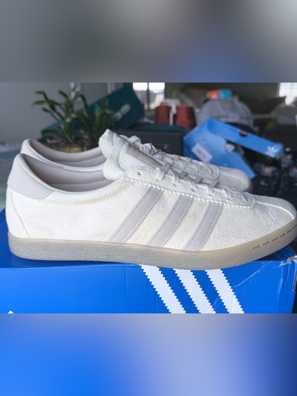 Adidas Tobacco Gruen